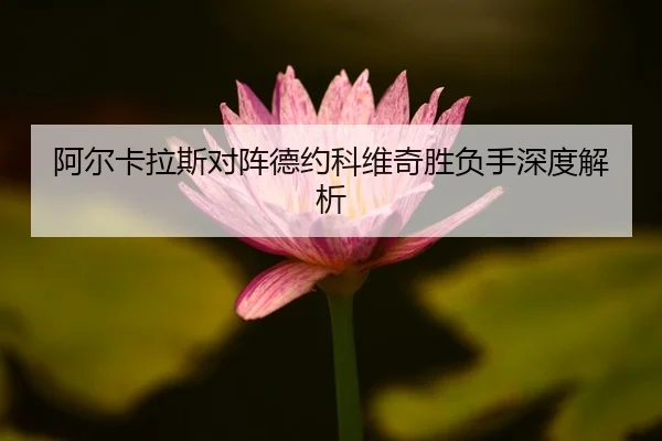 阿尔卡拉斯对阵德约科维奇胜负手深度解析